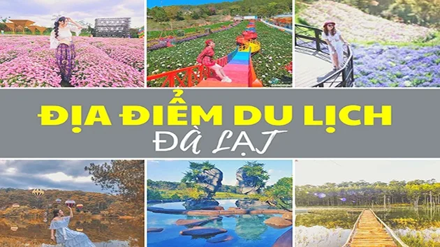 Hồng và Vàng Nổi bật Thời trang Ảnh Ghép